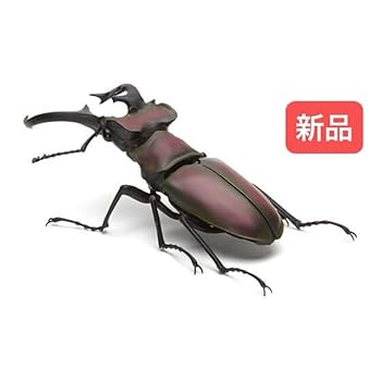 Amazon.co.jp: ミヤマクワガタ いきもの大図鑑くわがた02 生き物